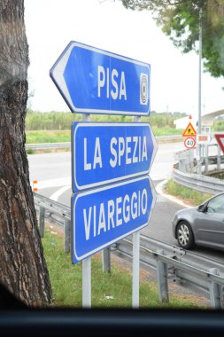 Ağacın yanındaki yol işaretlerinin görüntüsü