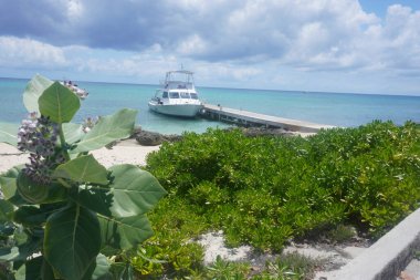 George Town 'daki Caymond Adası' ndaki en güzel plajların güzel manzarası. 