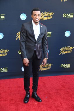 24 Mart 2018 Cumartesi günü Las Vegas 'taki Orleans Resort' ta düzenlenen 33. Yıldız Ödülleri Kırmızı Halı sırasında ünlüler.