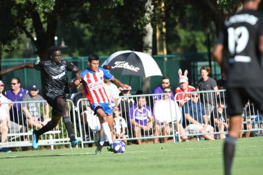 30 Temmuz 2019 'da Orlando Florida' daki Disney 'in Vahşi Spor Dünyası' nda düzenlenen MLS Allstar Haftası sırasında MLS Homegrown oyunu.