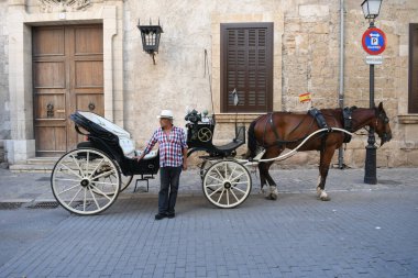 Bir faytoncuyla at arabasının görüntüsü