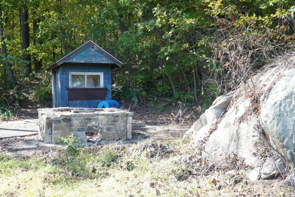 View Small Abandoned House Forest — Stock Photo, Image