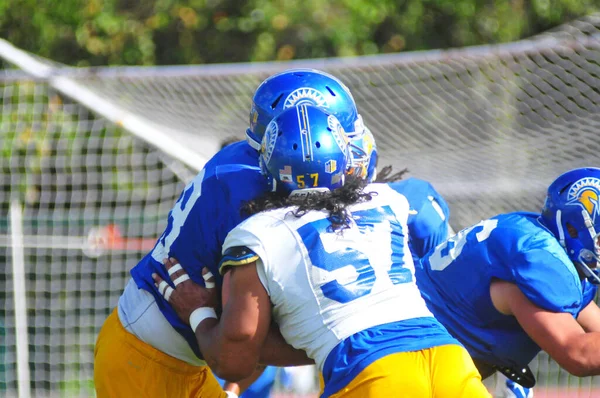 Georgia State Football Team Prepara Para Cure Bowl Mientras Enfrentan —  Fotos de Stock