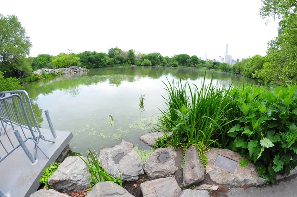 24 Mayıs 2016 'da New York' un geniş açı görüntüsü. 