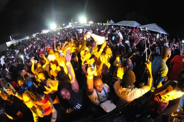 Orlando Caribbean Festival Den Mars 2017 Florid Photo Credit Marty — Stockfoto