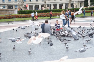 İnsanların güvercinleri beslediği ana meydanı görün