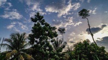 Kabare Haiti (8 Ağustos 2018) 