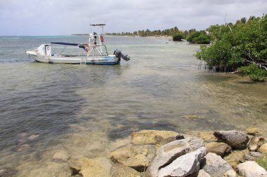 Güzel Costa Maya Meksika 29 Mayıs 2014