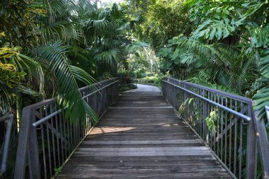 Orlando Florida 'daki Lew Garden