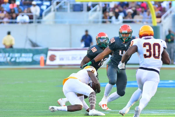 Florida Rattlers Enfrentan Bethune Cookman Wildcats Durante Los Clásicos Florida —  Fotos de Stock