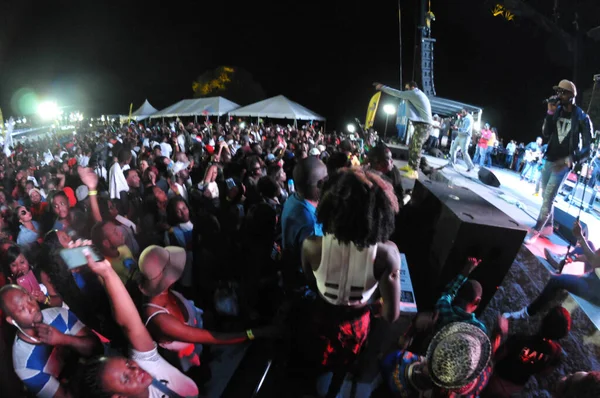 Orlando Caribbean Festival Marca 2017 Florid Photo Credit Marty Jean — Zdjęcie stockowe