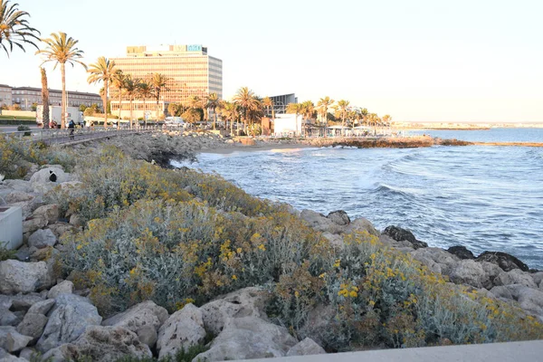 Sahili ve rıhtımı olan sahil manzarası.