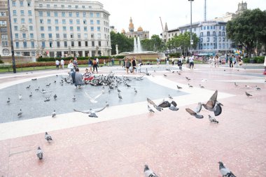 İnsanların güvercinleri beslediği ana meydanı görün