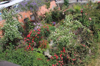 16 Mayıs 2014 'te Güzel Ventimiglia Şehri. 