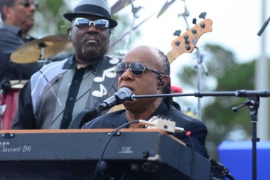 Stevie Wonder, Başkan Barack Obama 'nın 6 Kasım 2016' da Kissimmee Florida 'da başkanlık adaylığını destekleyen mitinginde performans sergiliyor..
