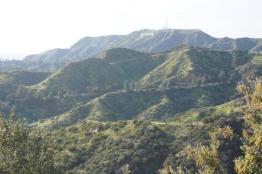 Los Angeles tepelerinin manzarası, tepeler ve Hollywood tepeleri arasındaki yollar.