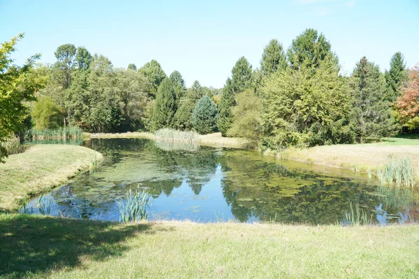 Uitzicht Een Rustige Vijver Nabij Het Bos — Stockfoto