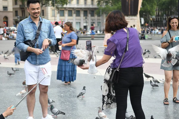 Nézet Főtéren Ahol Emberek Táplálkozó Galambok — Stock Fotó