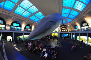 22 Mayıs 2016 'da New York' un geniş açı görüntüsü. 