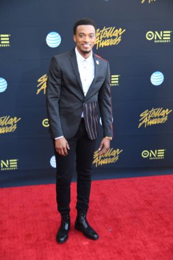 24 Mart 2018 Cumartesi günü Las Vegas 'taki Orleans Resort' ta düzenlenen 33. Yıldız Ödülleri Kırmızı Halı sırasında ünlüler.