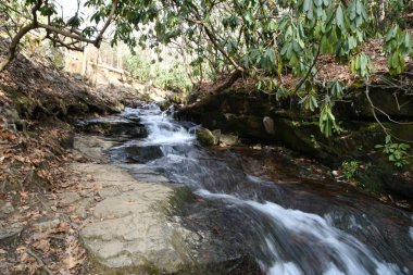 Maggie Vadisi, Kuzey Carolina 'da kış.