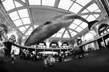 22 Mayıs 2016 'da New York' un geniş açı görüntüsü. 