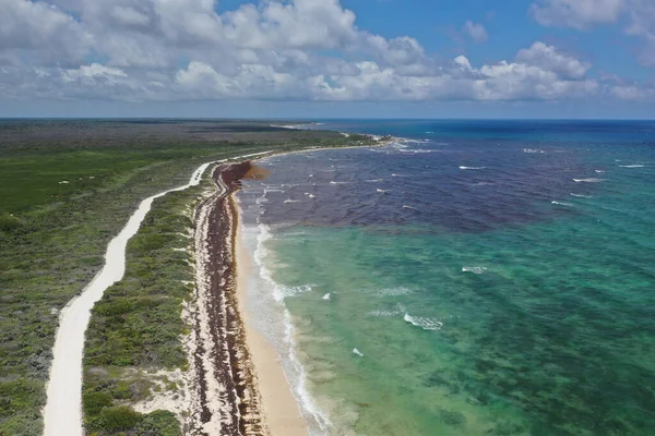 Meksika Nın Çok Güzel Cozumel Şehrinde Güzel Bir Deniz Feneri — Stok fotoğraf