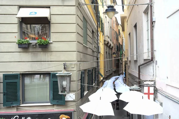 Weiße Sonnenschirme Der Schönen Stadt Genua Italien — Stockfoto