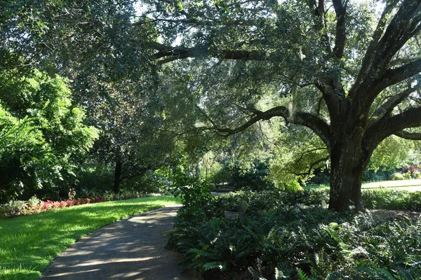 Ogród Lew Orlando Floryda — Zdjęcie stockowe