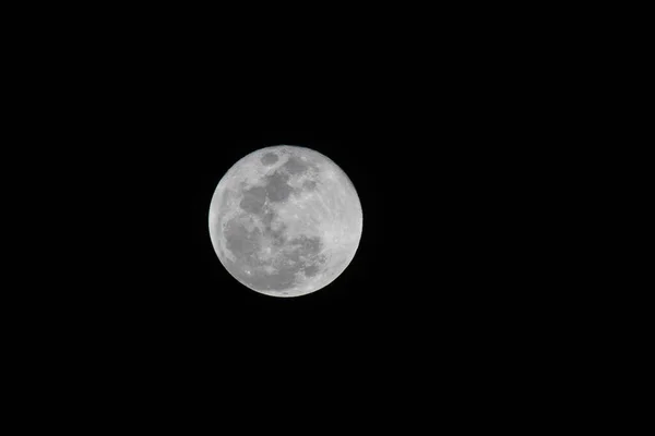 Prachtig Uitzicht Volle Maan Nachtelijke Hemel — Stockfoto