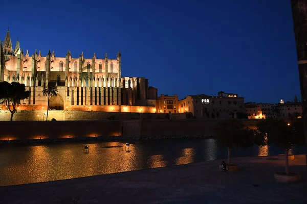 Nattutsikt Över Palma Kyrka Palma Mallorca Spanien — Stockfoto