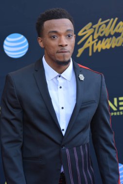 24 Mart 2018 Cumartesi günü Las Vegas 'taki Orleans Resort' ta düzenlenen 33. Yıldız Ödülleri Kırmızı Halı sırasında ünlüler.