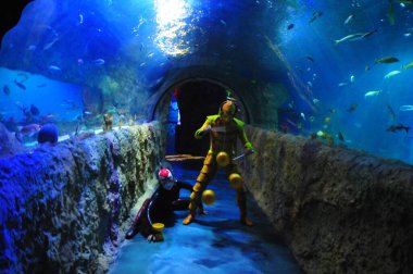 30 Ağustos 2016 'da Orlando Florida' daki güzel Orlando Eye 'daki Cirque du Soleil gösterisi.