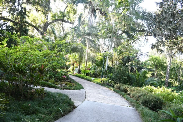 Lew Garden Orlando Florida — Fotografie, imagine de stoc