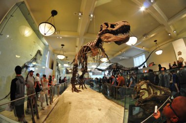 22 Mayıs 2016 'da New York' un geniş açı görüntüsü.  