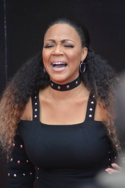 25 Mart 2017 'de Las Vegas' taki Orleans Resort 'ta 32rd Stellar Ödülleri. 