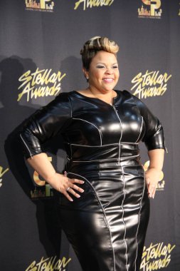 18 Ocak 2014 'te Nashville Tennessee' de düzenlenen 29..  