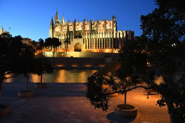 Нічний Вид Церкву Пальма Пальма Мальорка Іспанія — стокове фото