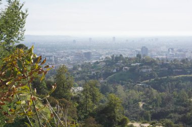 Los Angeles tepelerinin manzarası, tepeler ve şehirler arasındaki yollar.