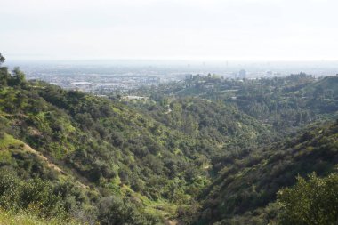 Los Angeles tepelerinin manzarası, tepeler ve şehirler arasındaki yollar.