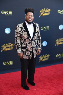 24 Mart 2018 Cumartesi günü Las Vegas 'taki Orleans Resort' ta düzenlenen 33. Yıldız Ödülleri Kırmızı Halı sırasında ünlüler.