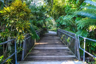 Bir sürü ağaç ve tabağı olan güzel bir yeşil patika.