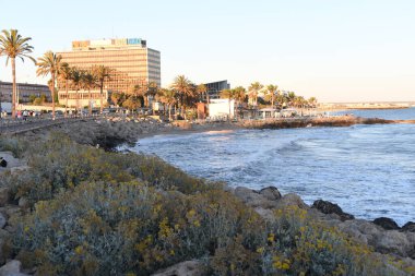 Sahili ve rıhtımı olan sahil manzarası.