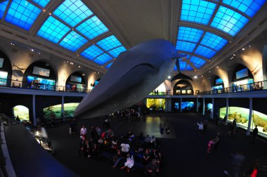 22 Mayıs 2016 'da New York' un geniş açı görüntüsü. 