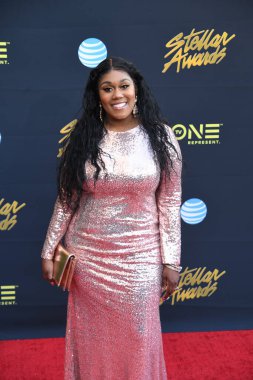 24 Mart 2018 Cumartesi günü Las Vegas 'taki Orleans Resort' ta düzenlenen 33. Yıldız Ödülleri Kırmızı Halı sırasında ünlüler.