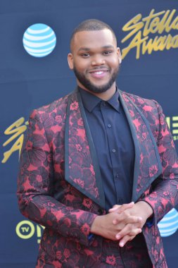 24 Mart 2018 Cumartesi günü Las Vegas 'taki Orleans Resort' ta düzenlenen 33. Yıldız Ödülleri Kırmızı Halı sırasında ünlüler.