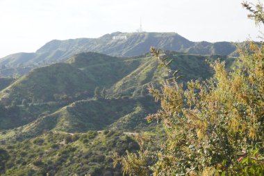 Los Angeles tepelerinin manzarası, tepeler ve Hollywood tepeleri arasındaki yollar.