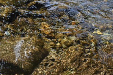 Maggie Vadisi, Kuzey Carolina 'da kış