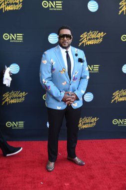 24 Mart 2018 Cumartesi günü Las Vegas 'taki Orleans Resort' ta düzenlenen 33. Yıldız Ödülleri Kırmızı Halı sırasında ünlüler. 