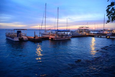 21 Eylül 2016 'da Hollanda' daki Güzel Bonaire. Fotoğraf: Marty Jean-Louis